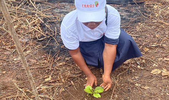 Protection environnementale